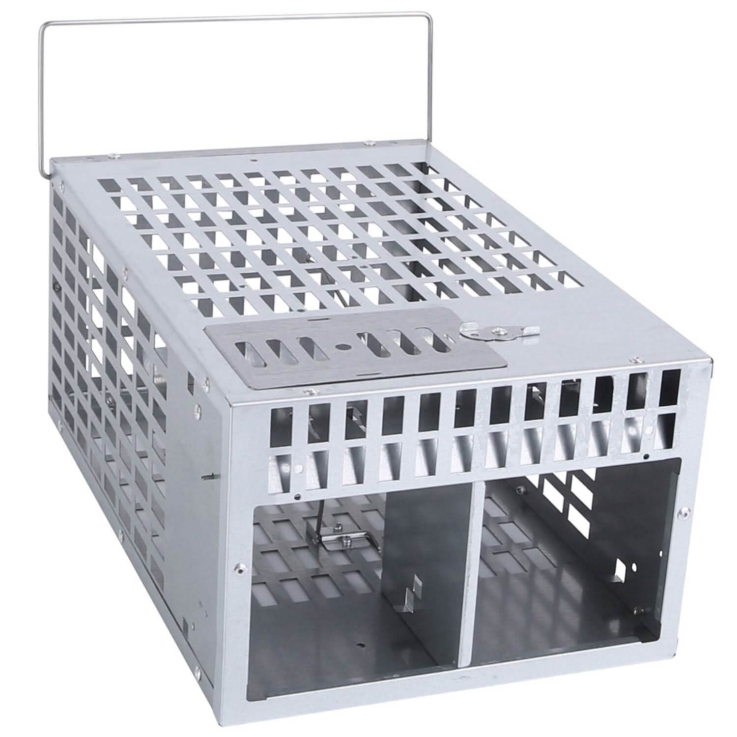 Reusable Metal Rat Cage Catch Release Continuous Capture DailySale