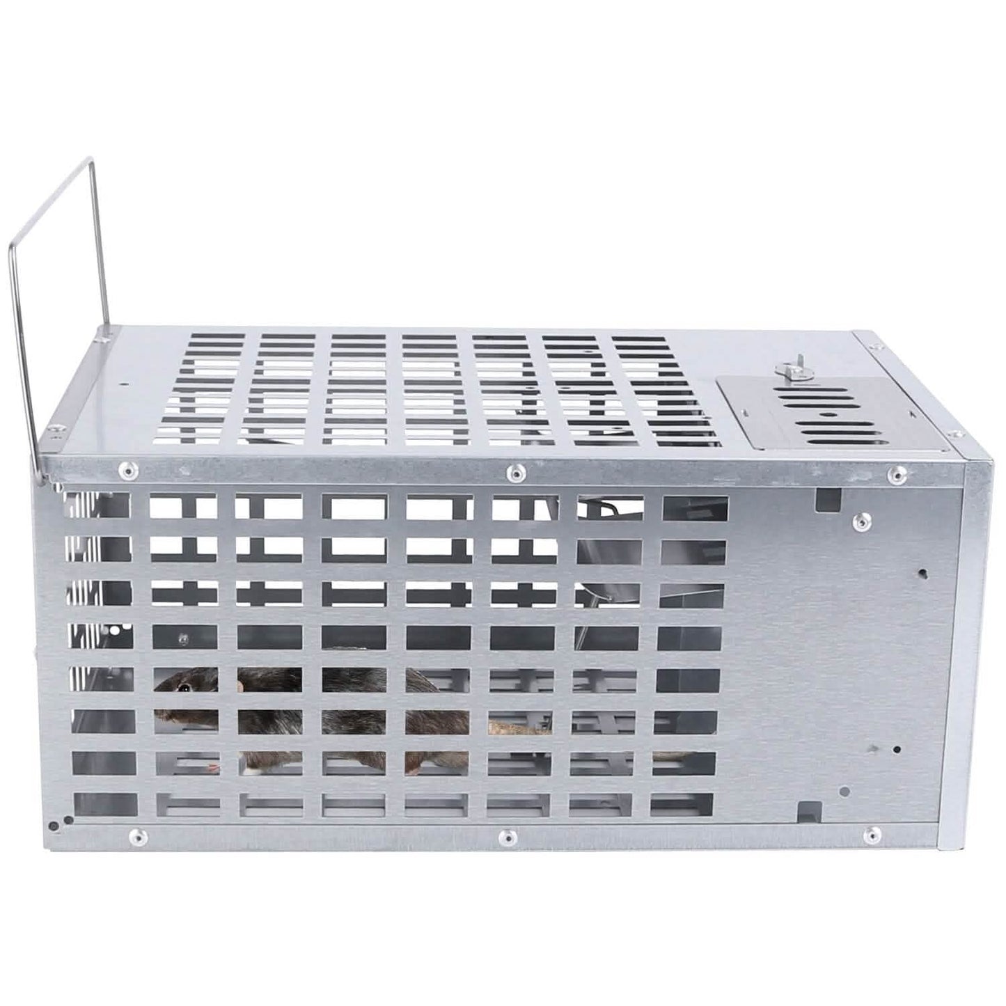 Reusable Metal Rat Cage Catch Release Continuous Capture DailySale