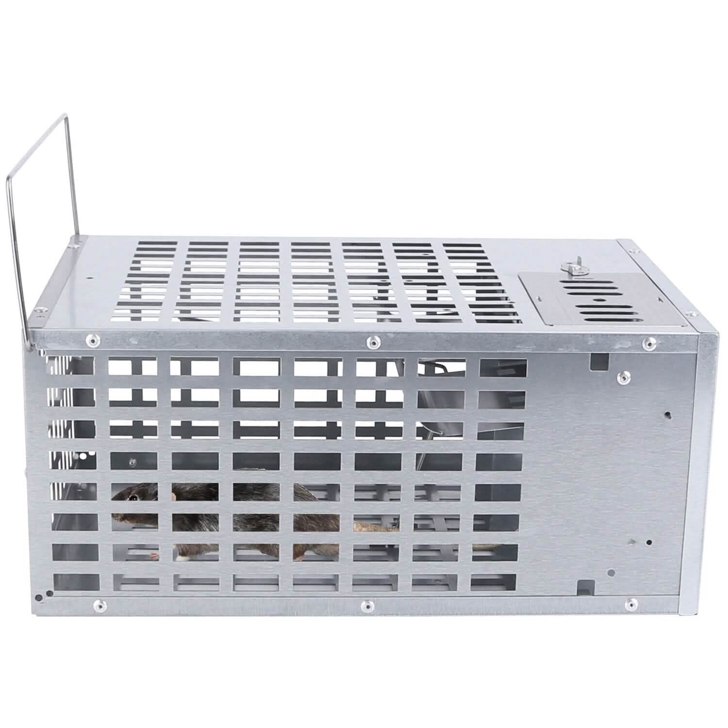 Reusable Metal Rat Cage Catch Release Continuous Capture DailySale