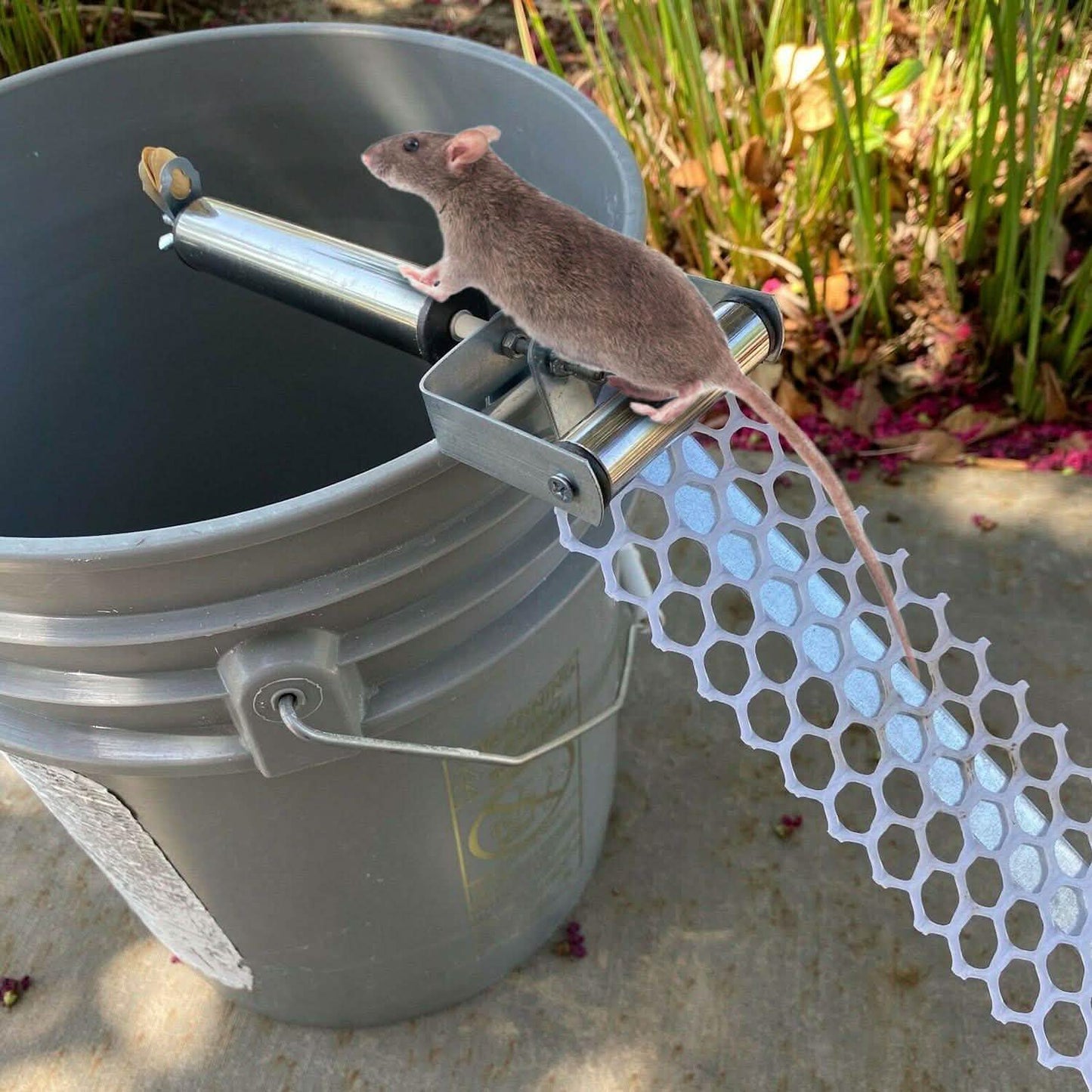 Roll Trap Log Rolling Mouse Catcher with 19.69" Mesh Ramp DailySale