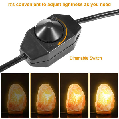 Salt Crystal Rock Lamp DailySale
