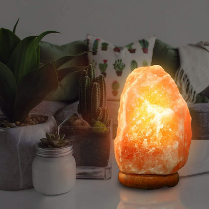 Salt Crystal Rock Lamp DailySale