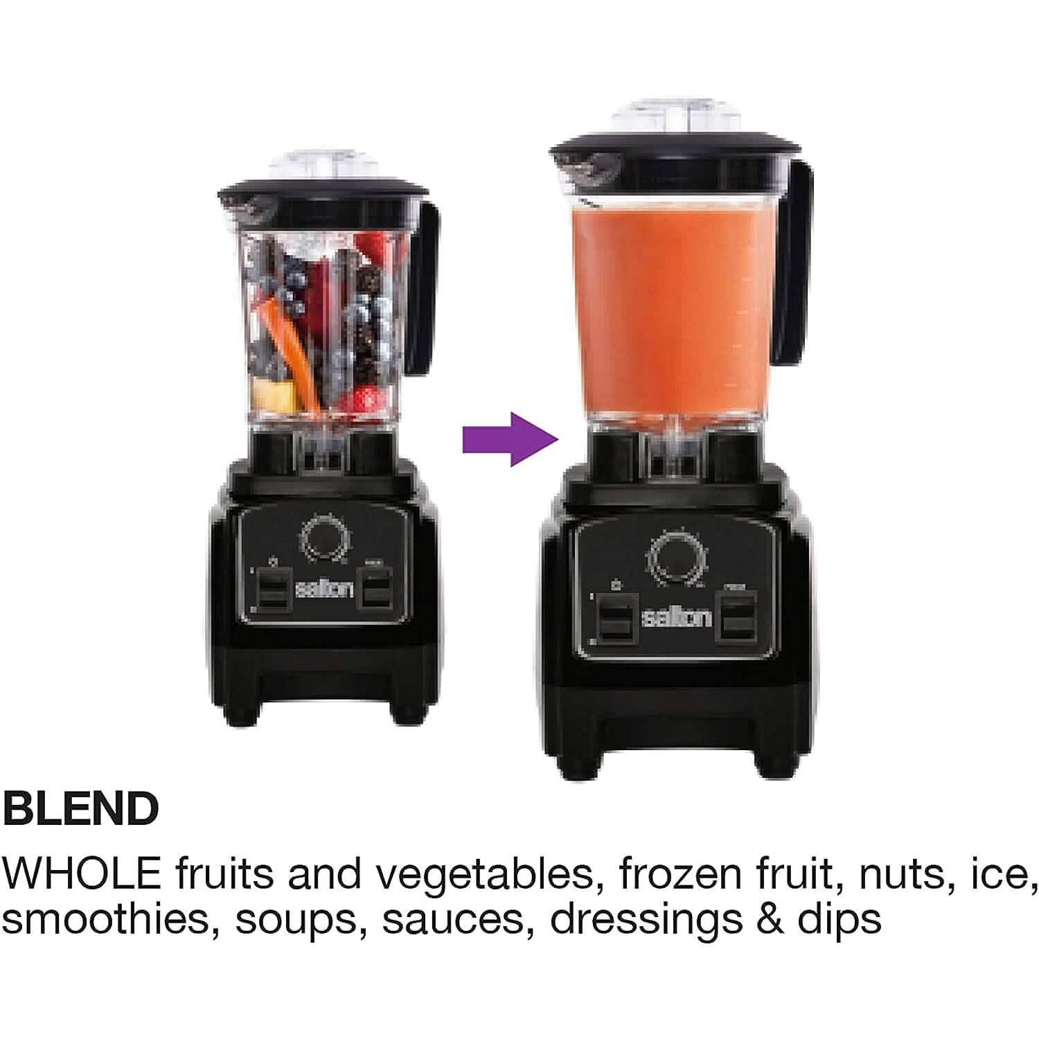 Salton Compact Power Blender 1.2 L/Qt DailySale