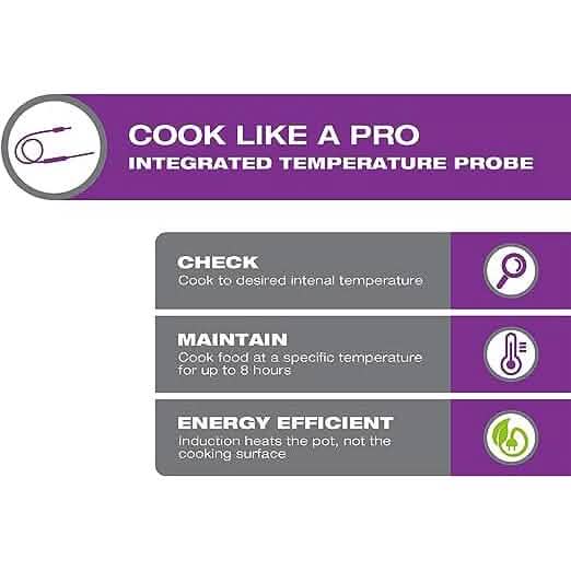 Salton Induction Cooktop with Temperature Probe DailySale