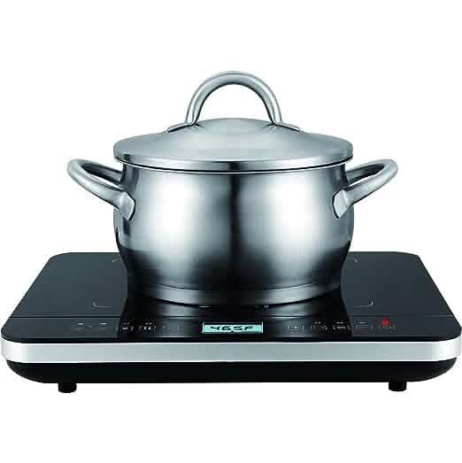 Salton Induction Cooktop with Temperature Probe DailySale