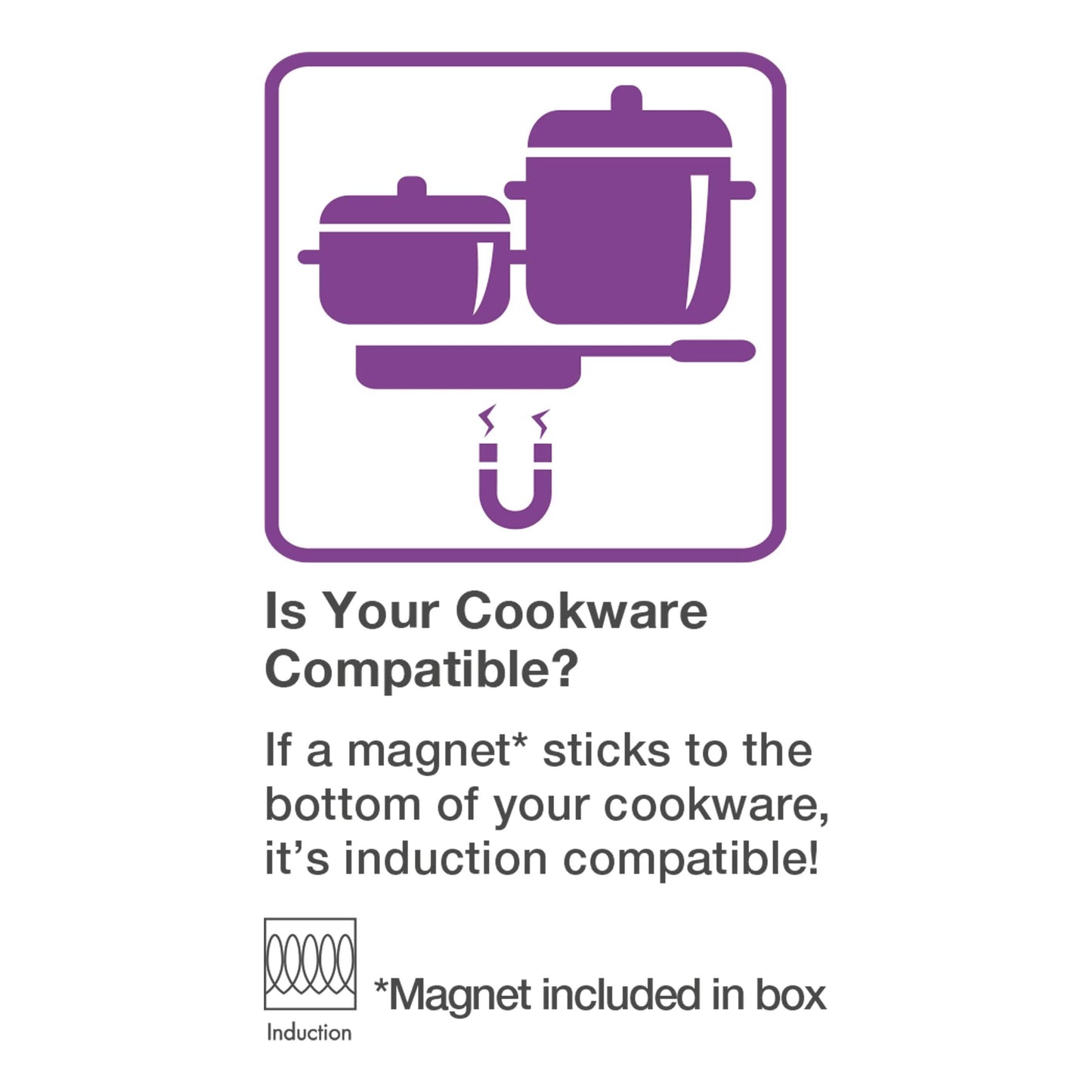 Salton Portable Induction Cooktop DailySale