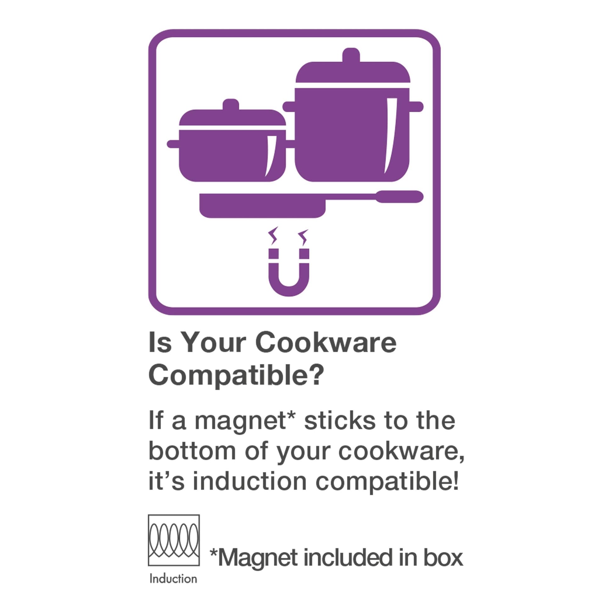 Salton Portable Induction Cooktop DailySale
