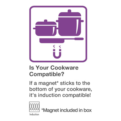 Salton Portable Induction Cooktop DailySale