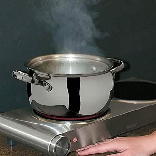 Salton Stainless Steel Infrared Portable Electric Cooktop DailySale