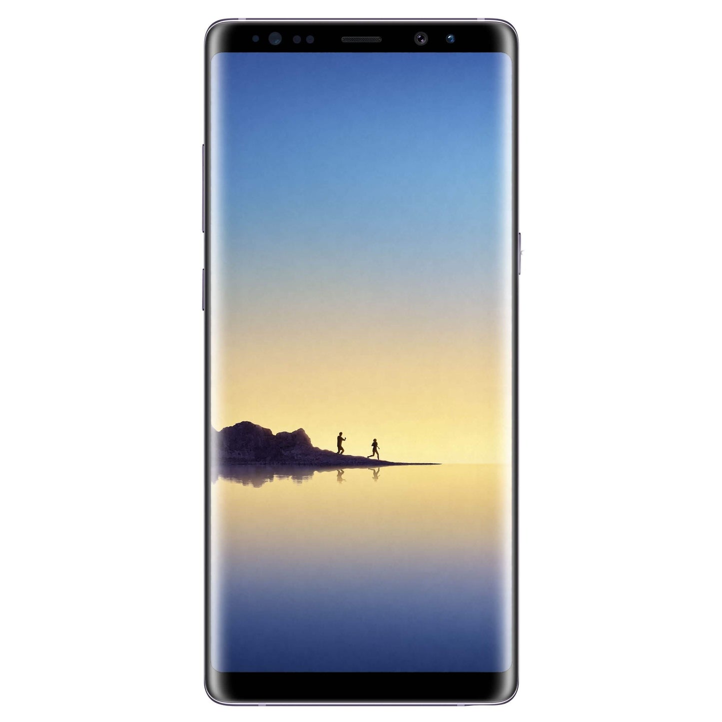 Samsung Galaxy Note 8 N950 Factory Unlocked Phone 64GB (Refurbished) DailySale