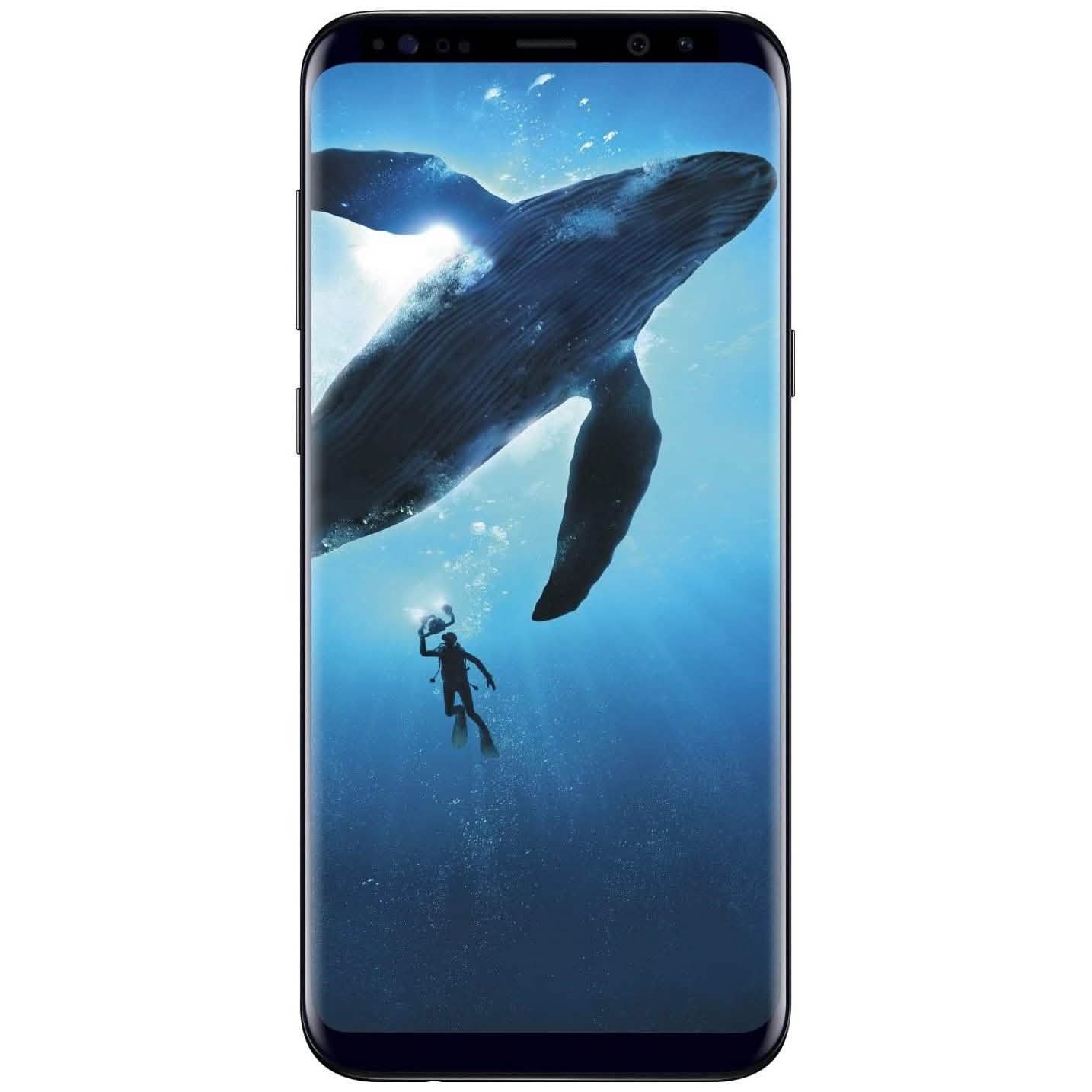 Samsung Galaxy S8 or S8+ Fully Unlocked 64GB (Refurbished) DailySale