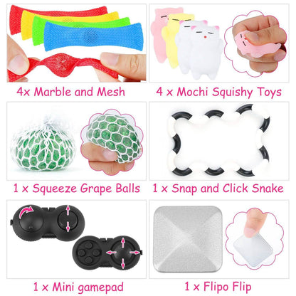 Sensory Fidget Toys Set DailySale