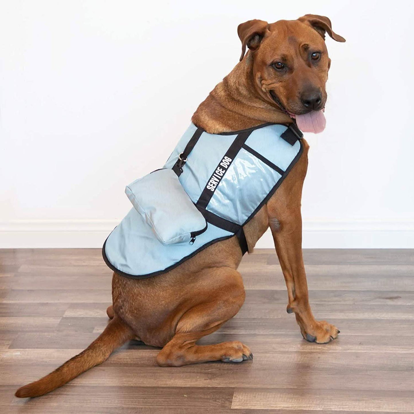 Service Dog Jacket DailySale