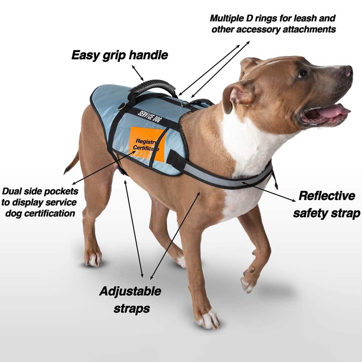 Service Dog Jacket DailySale