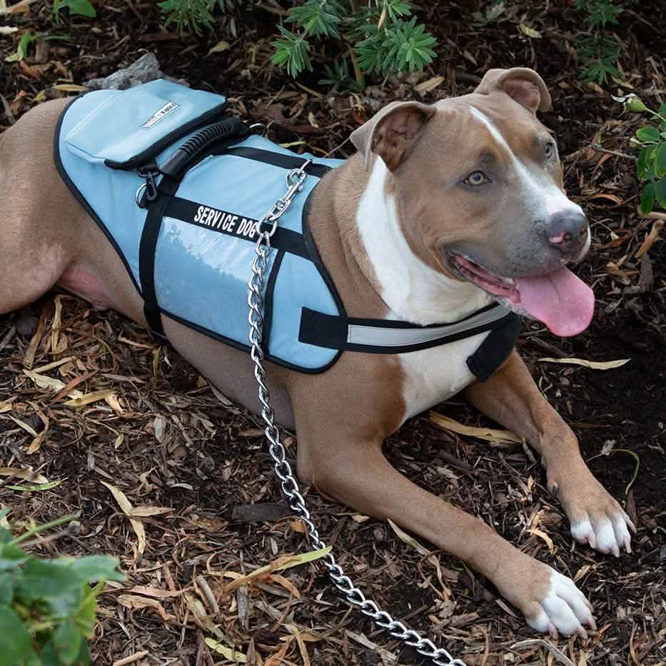 Service Dog Jacket DailySale