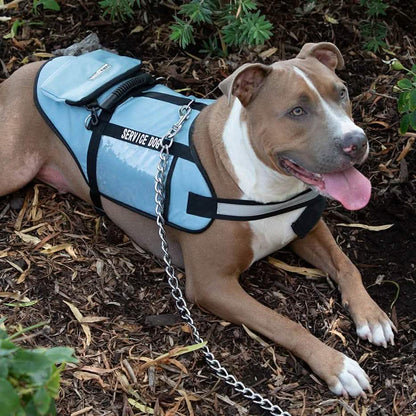 Service Dog Jacket DailySale