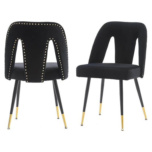 Set of 2: Modern Dining Chairs DailySale