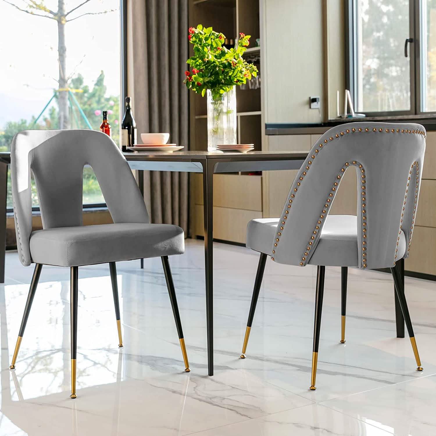 Set of 2: Modern Dining Chairs DailySale