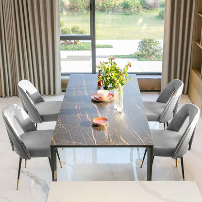 Set of 2: Modern Dining Chairs DailySale