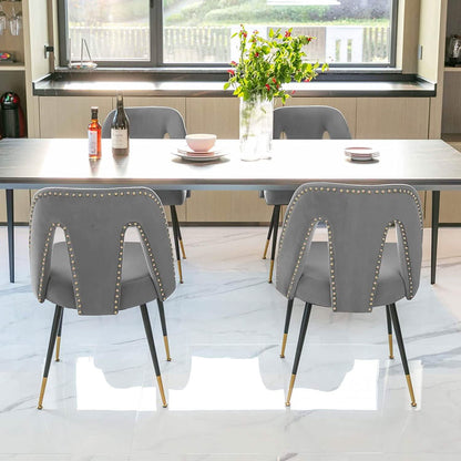Set of 2: Modern Dining Chairs DailySale