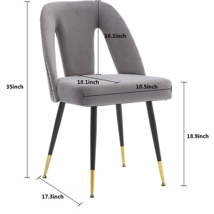Set of 2: Modern Dining Chairs DailySale