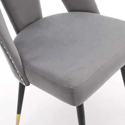 Set of 2: Modern Dining Chairs DailySale