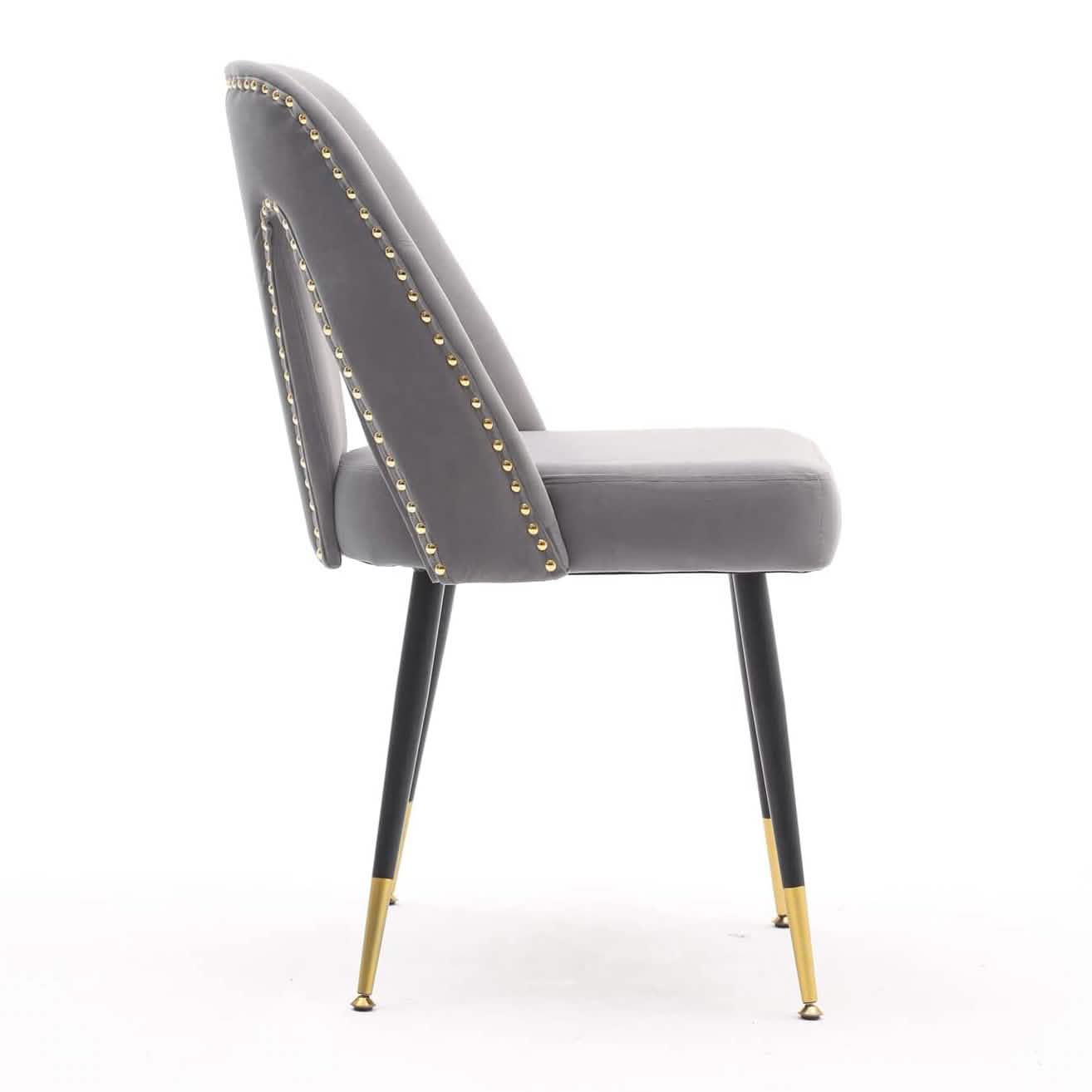 Set of 2: Modern Dining Chairs DailySale