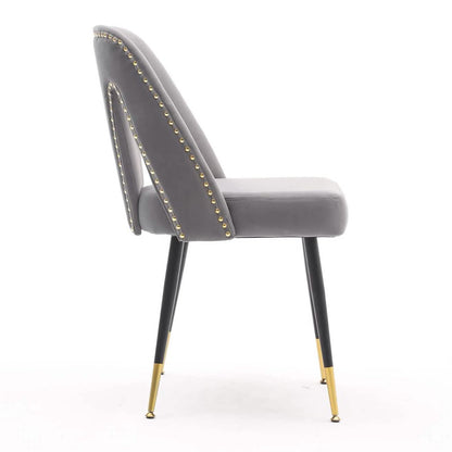 Set of 2: Modern Dining Chairs DailySale