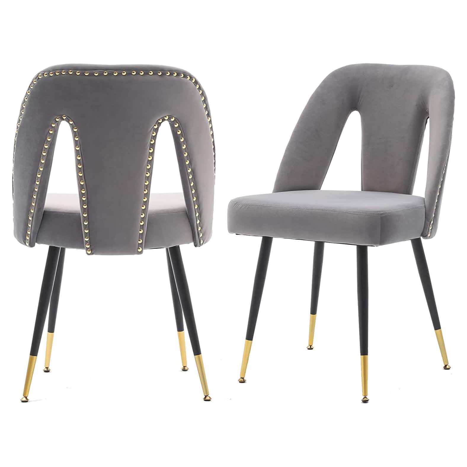 Set of 2: Modern Dining Chairs DailySale