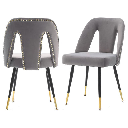 Set of 2: Modern Dining Chairs DailySale