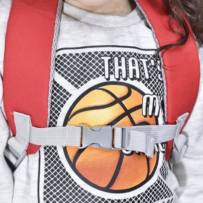 Shemtag Little Backpack - 10'' DailySale