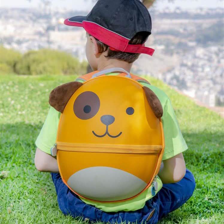 Shemtag Little Backpack - 10'' DailySale
