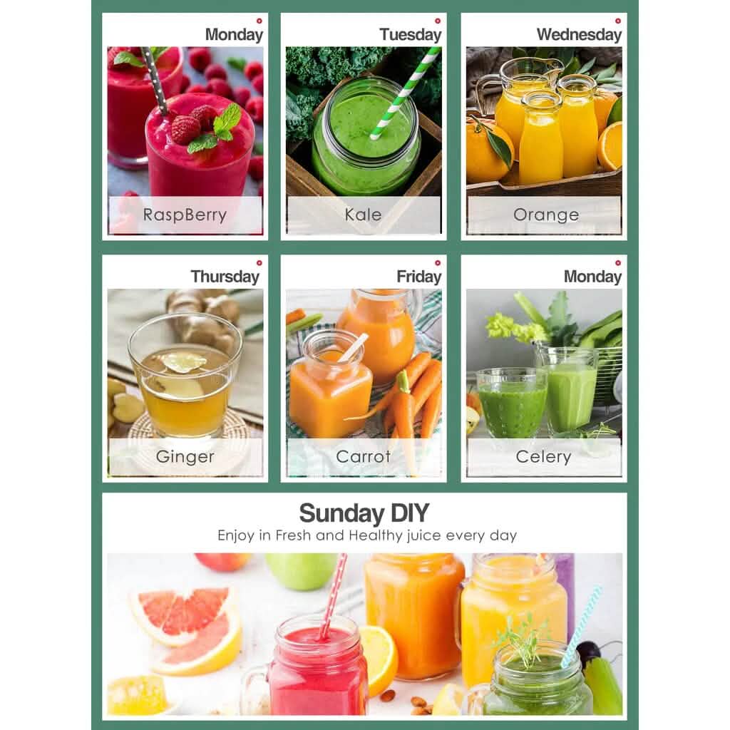 Slow Masticating Juicer Extractor Cold Press Juicer with Brush DailySale