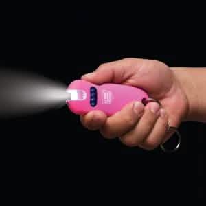 Smart 24,000,000 Keychain Stun Gun DailySale