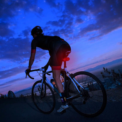 Smart Bike Tail Light USB Rechargeable LED Bicycle Rear Light DailySale