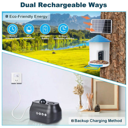 Smart Bird Feeder with Solar Powered Camera 1080P HD AI Identify PIR DailySale
