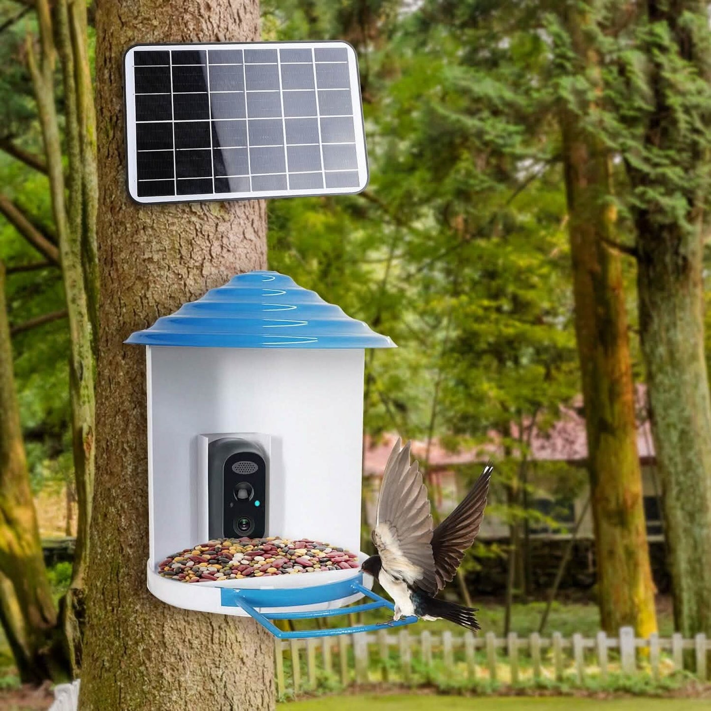Smart Bird Feeder with Solar Powered Camera 1080P HD AI Identify PIR DailySale