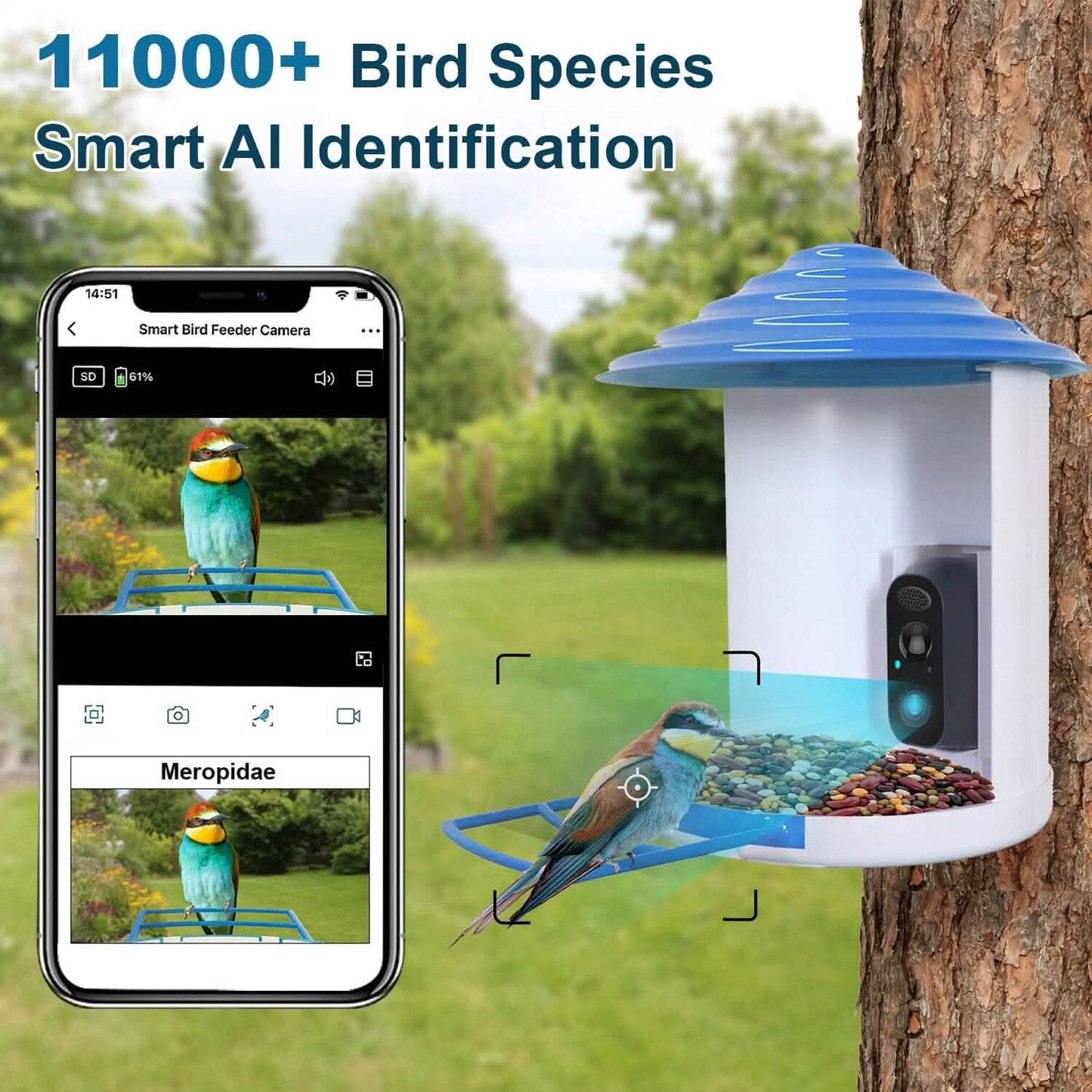 Smart Bird Feeder with Solar Powered Camera 1080P HD AI Identify PIR DailySale