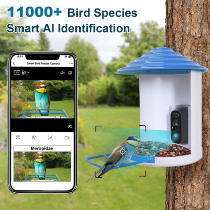 Smart Bird Feeder with Solar Powered Camera 1080P HD AI Identify PIR DailySale