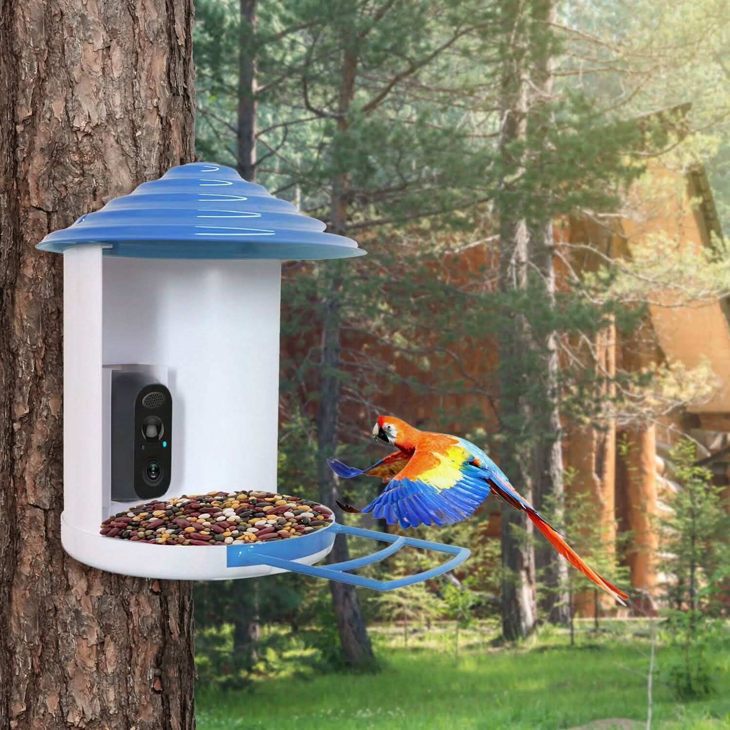 Smart Bird Feeder with Solar Powered Camera 1080P HD AI Identify PIR DailySale