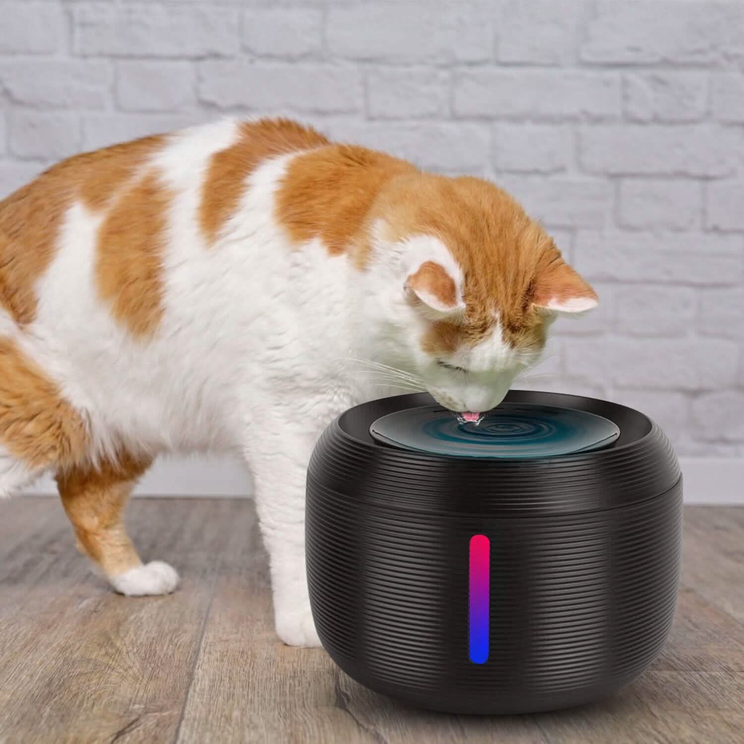 Smart Pet Drinking Fountain with LED Light 7-Pack Replaceable Water Filters DailySale