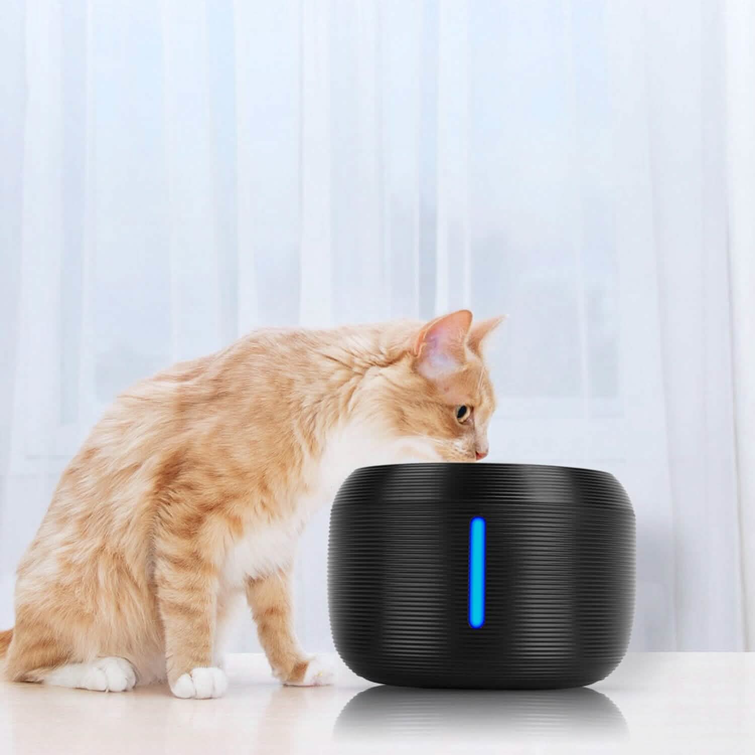 Smart Pet Drinking Fountain with LED Light 7-Pack Replaceable Water Filters DailySale