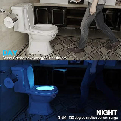 Smart PIR Motion Sensor Toilet Seat Night Light DailySale