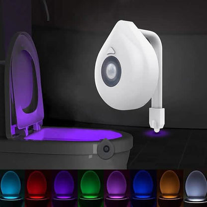 Smart PIR Motion Sensor Toilet Seat Night Light DailySale
