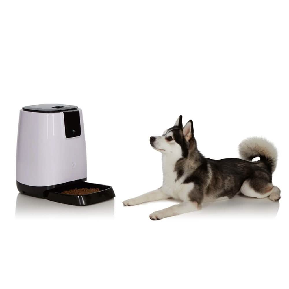 Smart Programmable Automatic Feeder for Pets DailySale