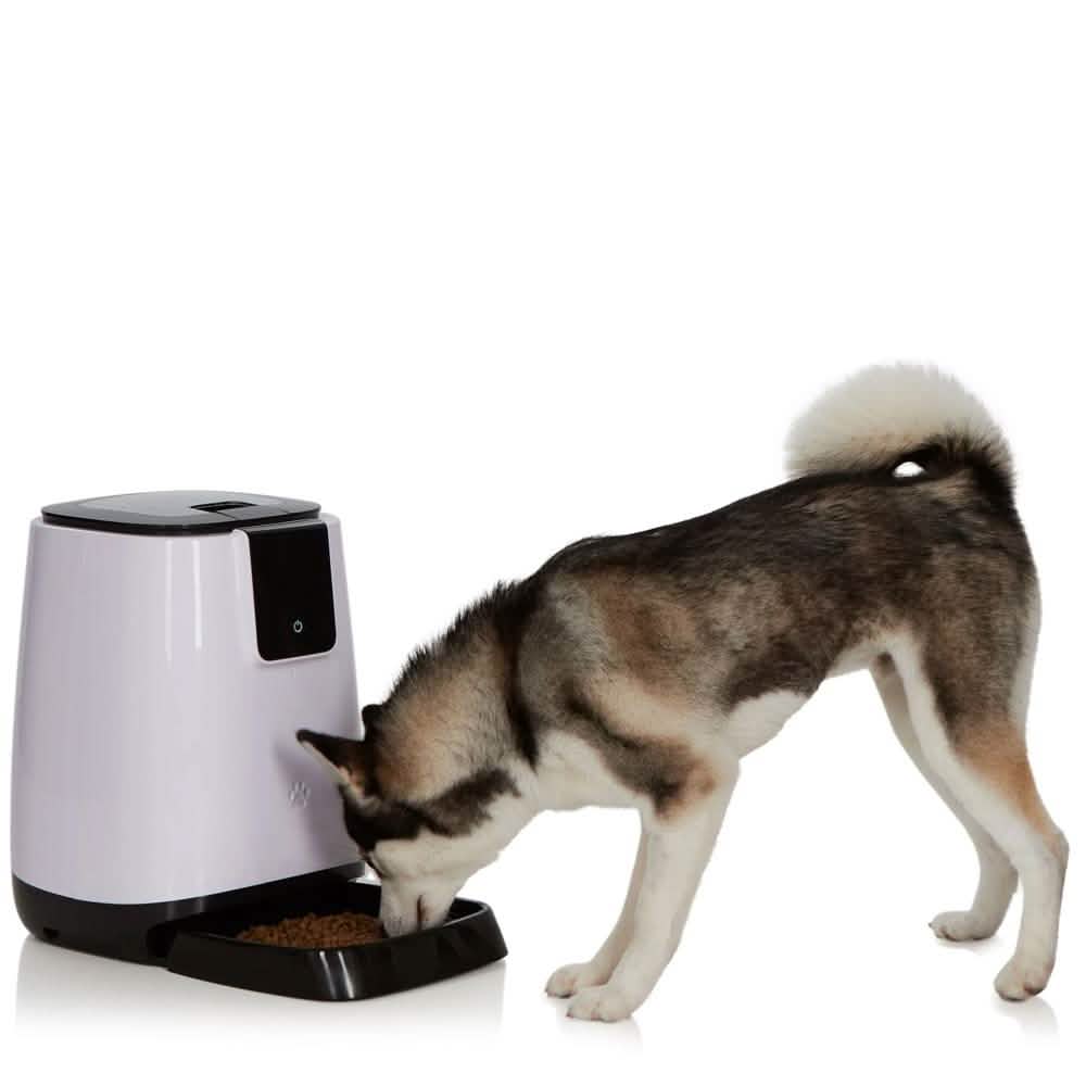 Smart Programmable Automatic Feeder for Pets DailySale