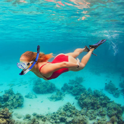Snorkling Gear Mask Fin Set with Adjustable Swim Fins DailySale