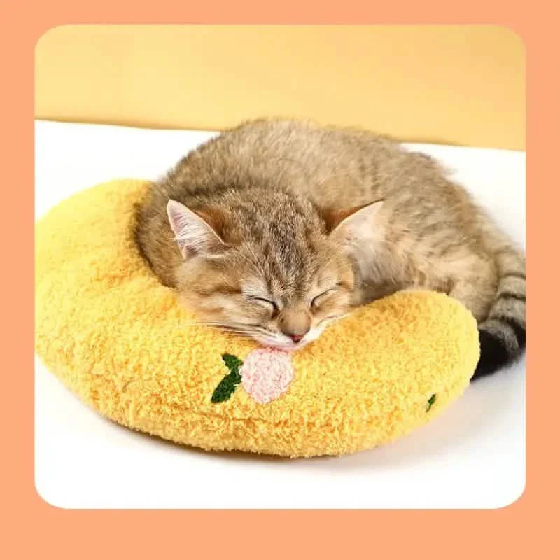 Soft Fluffy Pillows For Indoor Cats DailySale