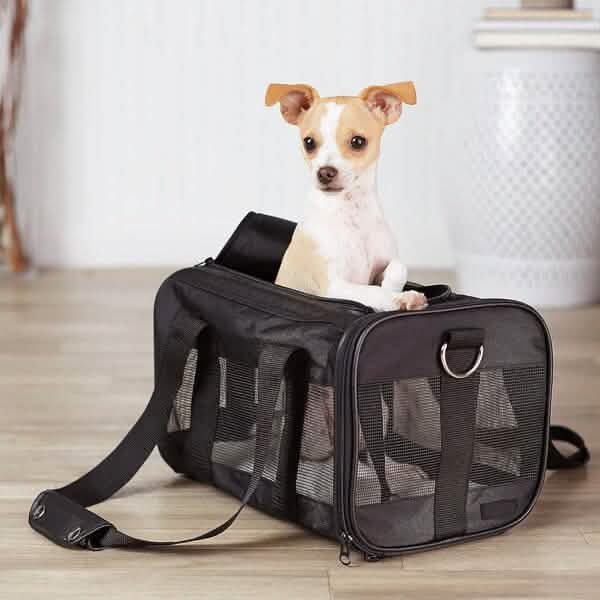 Soft-Sided Mesh Pet Travel Carrier DailySale