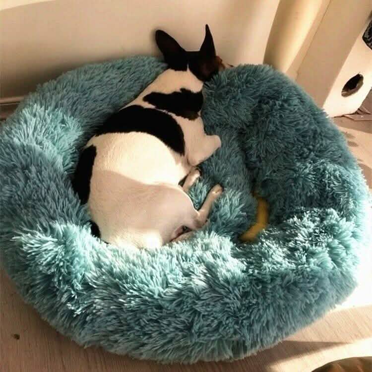 Soft Winter Warm Plush Calming Pet Bed DailySale